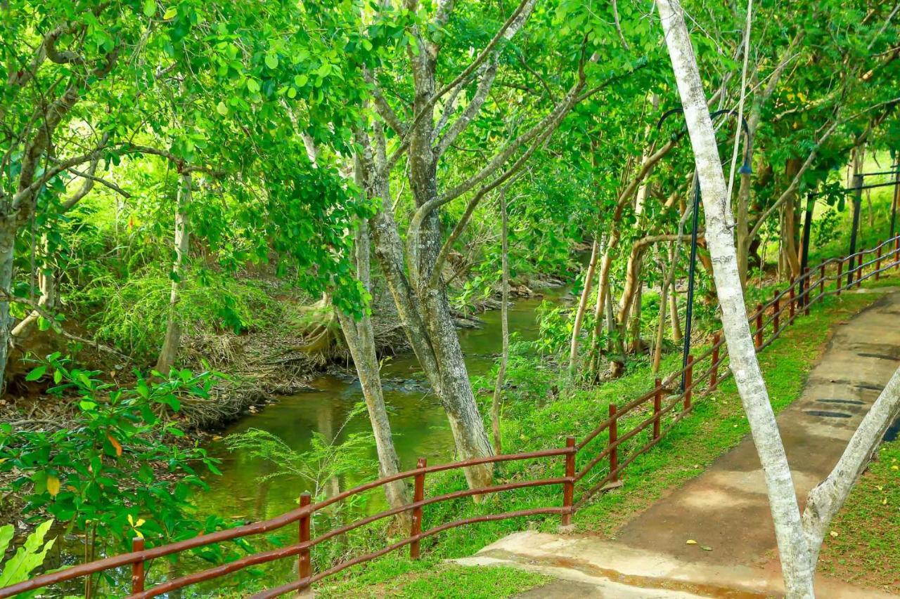 Doola River Edge Udawalawe Zewnętrze zdjęcie