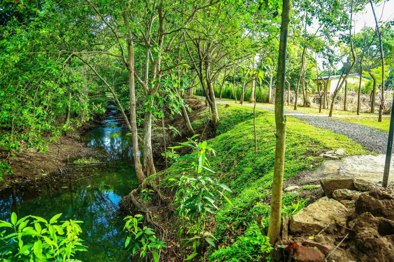 Doola River Edge Udawalawe Zewnętrze zdjęcie