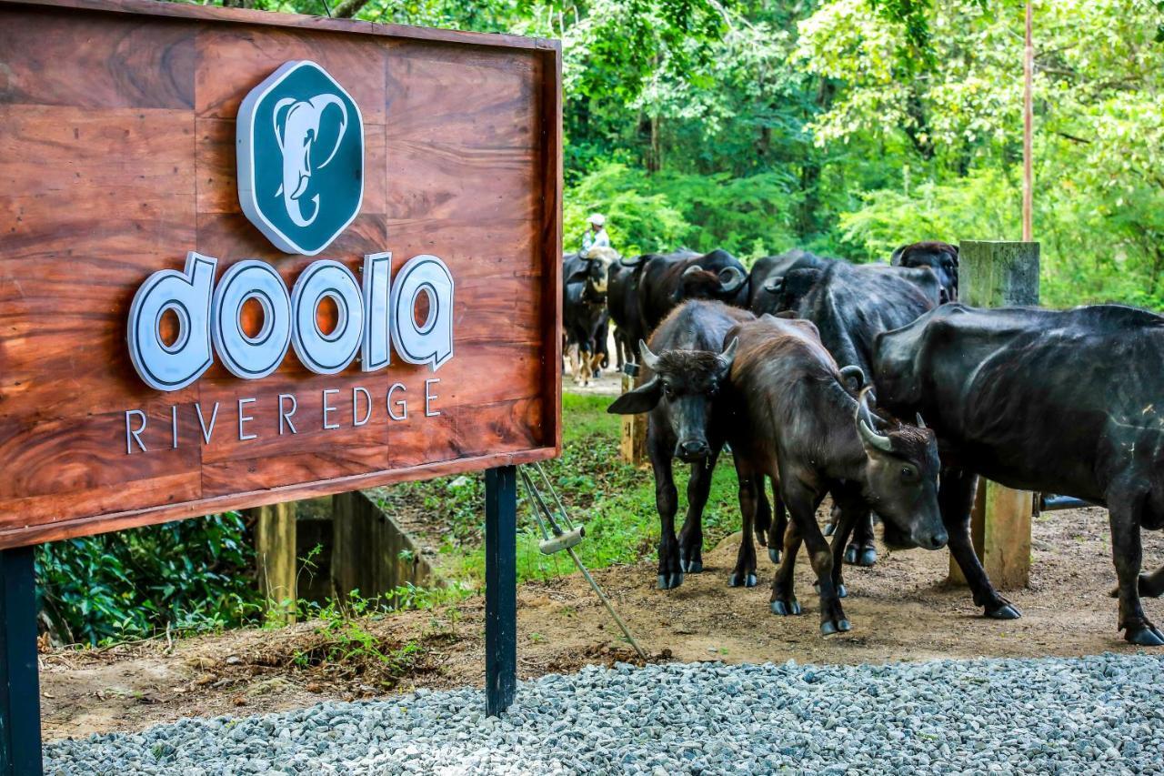 Doola River Edge Udawalawe Zewnętrze zdjęcie